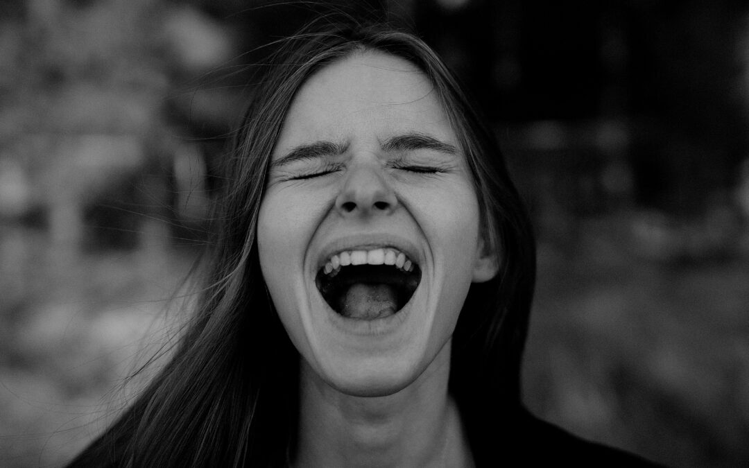 This Is Why We Fight: The Emotional Anatomy of Polarization