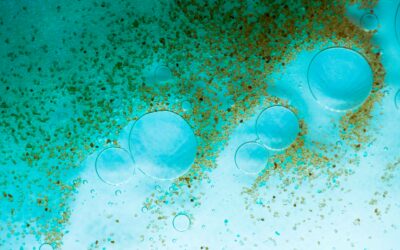 On Letting Things Break Down: Life Transitions, Compost, and the Work That Turns Endings into Soil