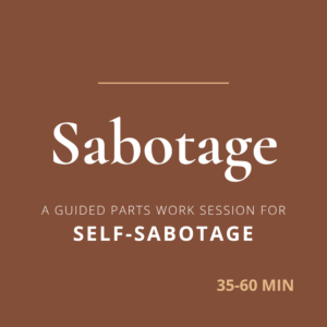 Self-sabotage is a protective part doing its job. A guided parts work session to meet it directly, hear what it protects, and stop getting in your own way.
