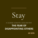 A guided somatic session to help you stay present when fear of disappointing others gets activated, and build emotional tolerance to stop people pleasing.